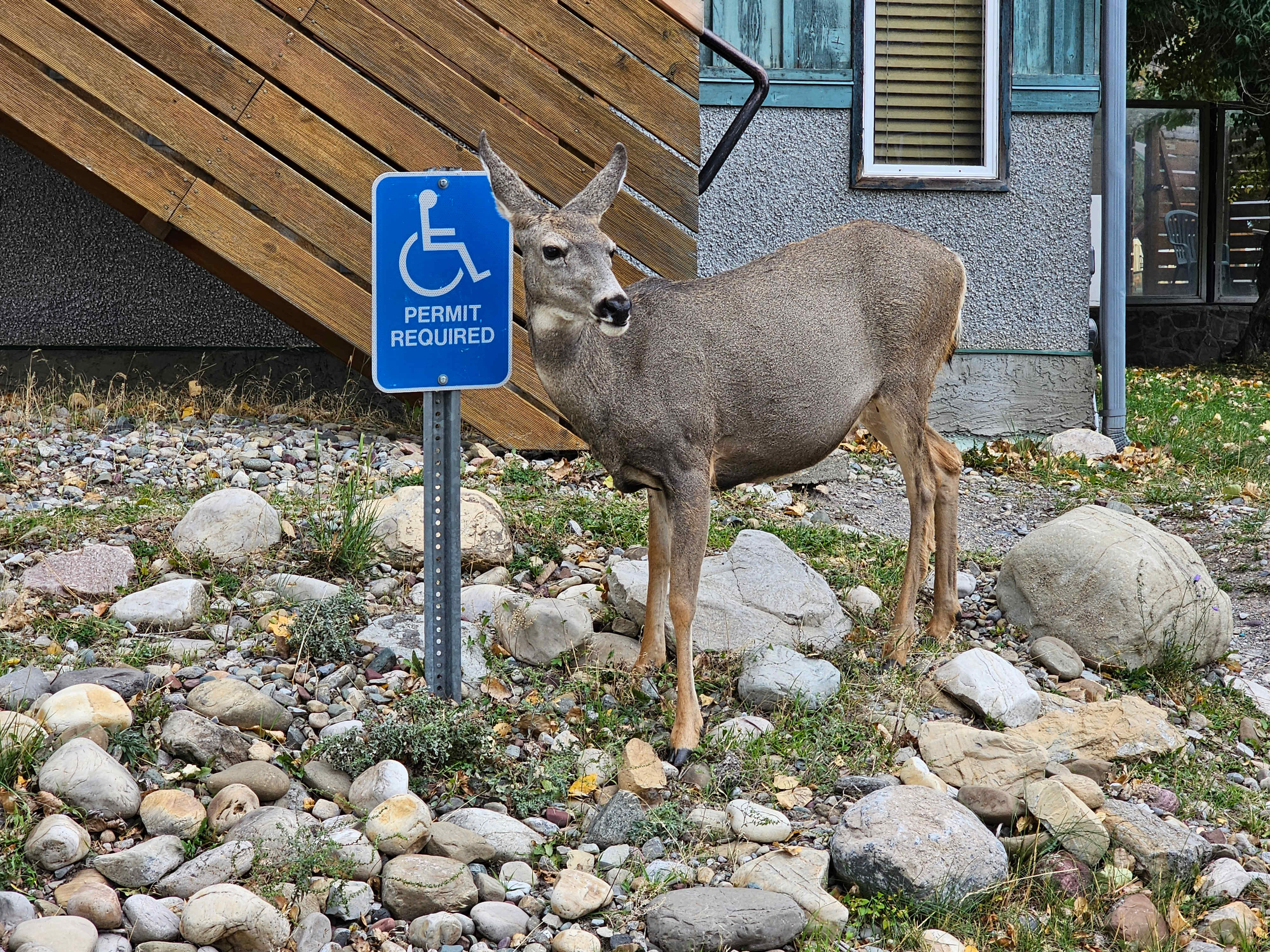 Waterton